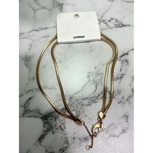 NWT! Express Gold Double Chain Necklace